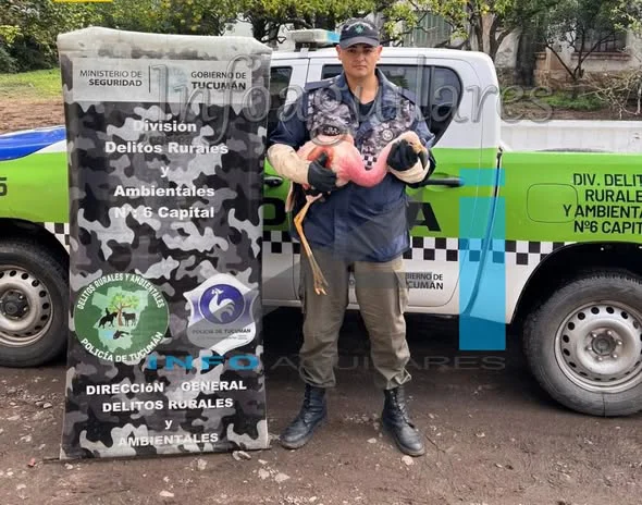 656010950_1408968331269140_5056504651826802445_n