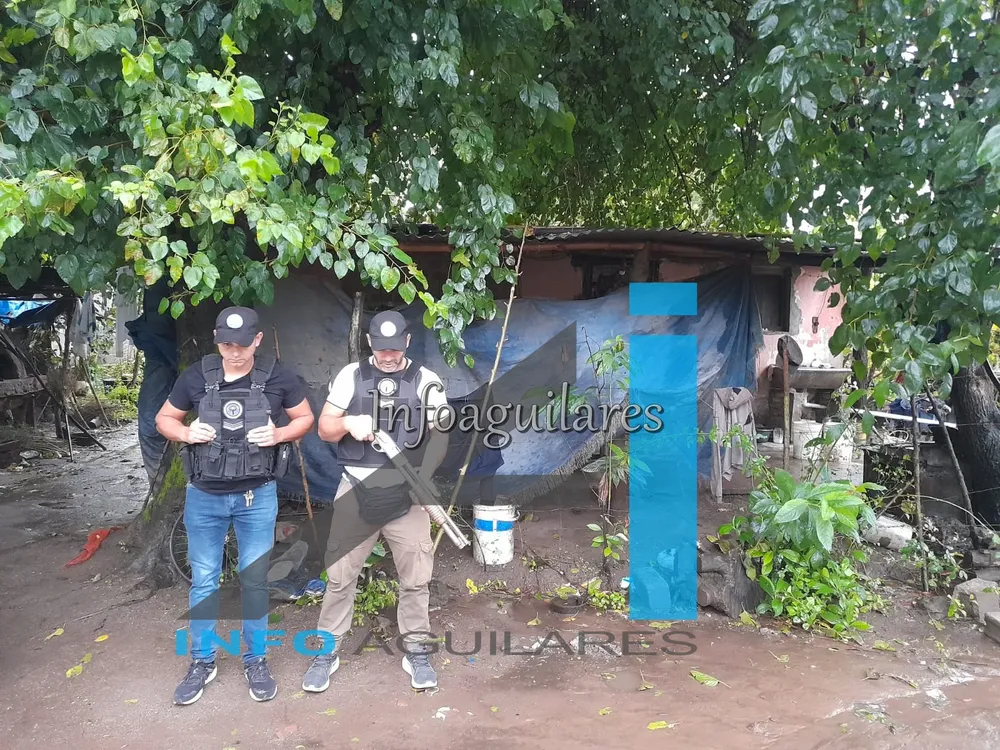 3bf8eae2-bf93-43bf-bde4-ee0db92edc5d