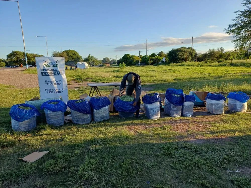 651375488_1404507331715240_6448506252886086021_n