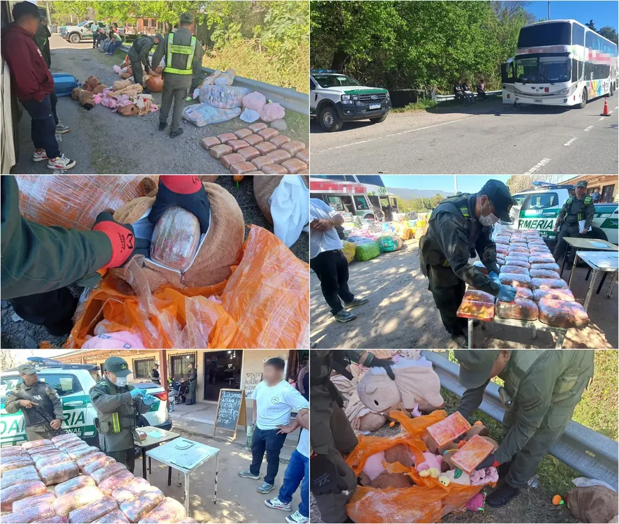 esconden_49_kilos_de_marihuana_y_4_kilos_de_cocaina_en_capibaras_de_peluches_8-tile