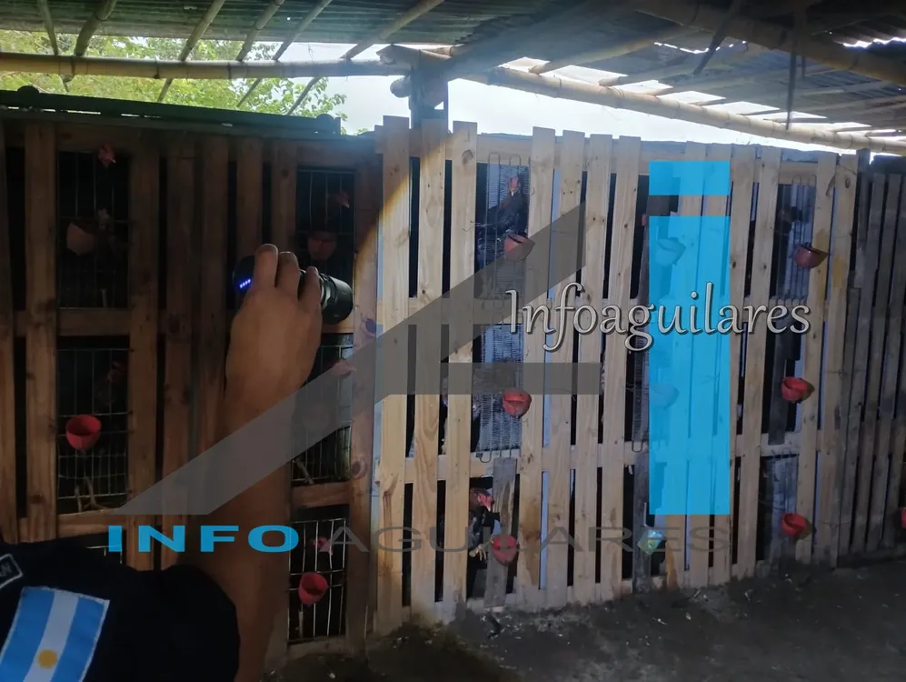 648026739_1394900132675960_6294660054734143907_n